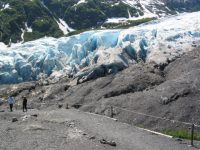 Exit Glacier