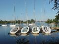 sailboats in the water of the Charles River in Boston