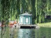 A swan boat approaches a marker in the Boston Public Gardens pond