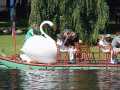 A swan boat at Boston Public Garden on a bight sunny summe day