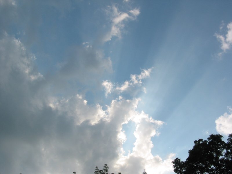 I see the (day)light!