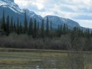 Canadian Rockies