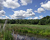 Broad Meadow Brook Sanctuary