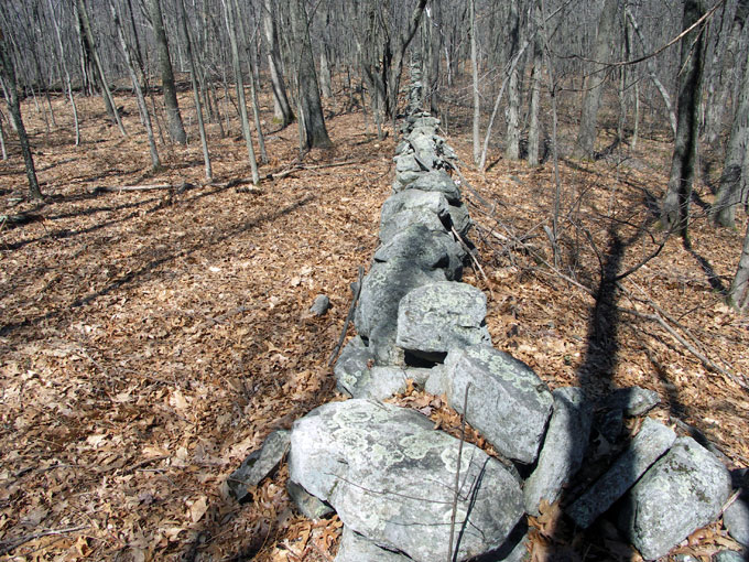 Stone wall at Broad Meadow Brook