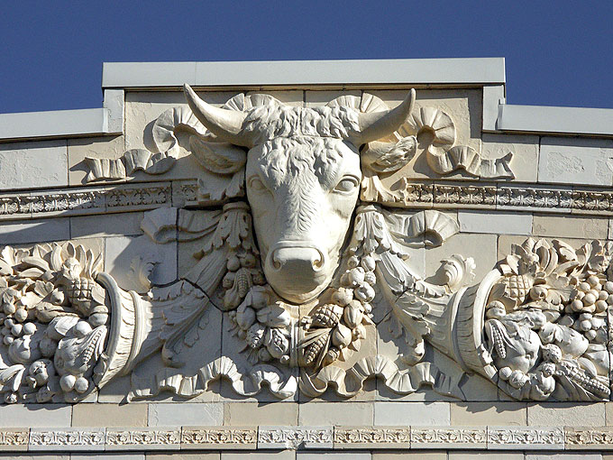 Cow head on the Worcester Market in Worcester MA