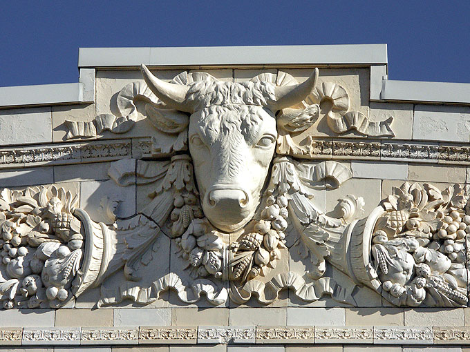 Cow head on the Worcester Market in Worcester MA