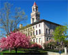 Springtime at Worcester City Hall