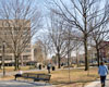 Worcester Common